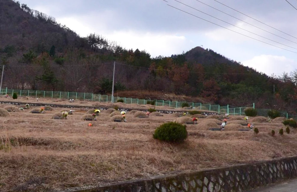 장기공설봉안묘 외관·전경