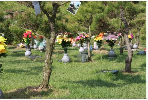 갈월사자연장지 자연장지 전경
