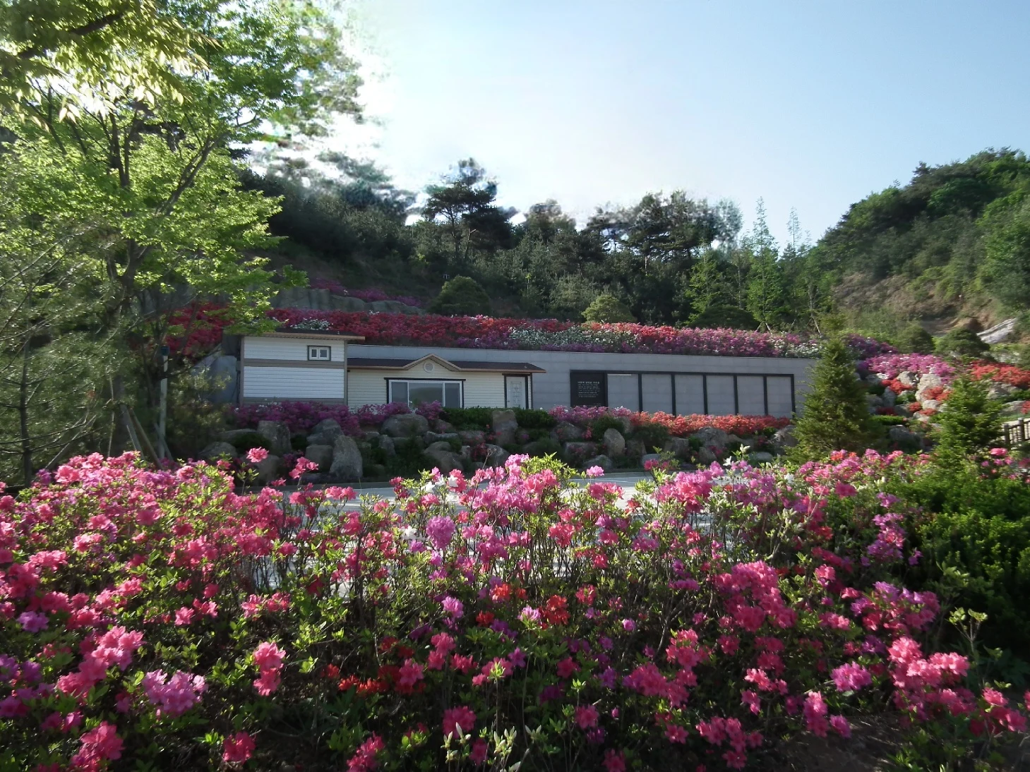 기독교대한성결교회 안성교회 자연장지 자연장지 전경