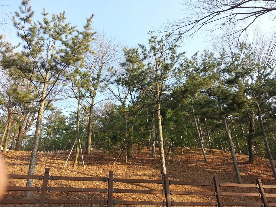 와동 꽃빛공원 자연장지 자연장지 전경
