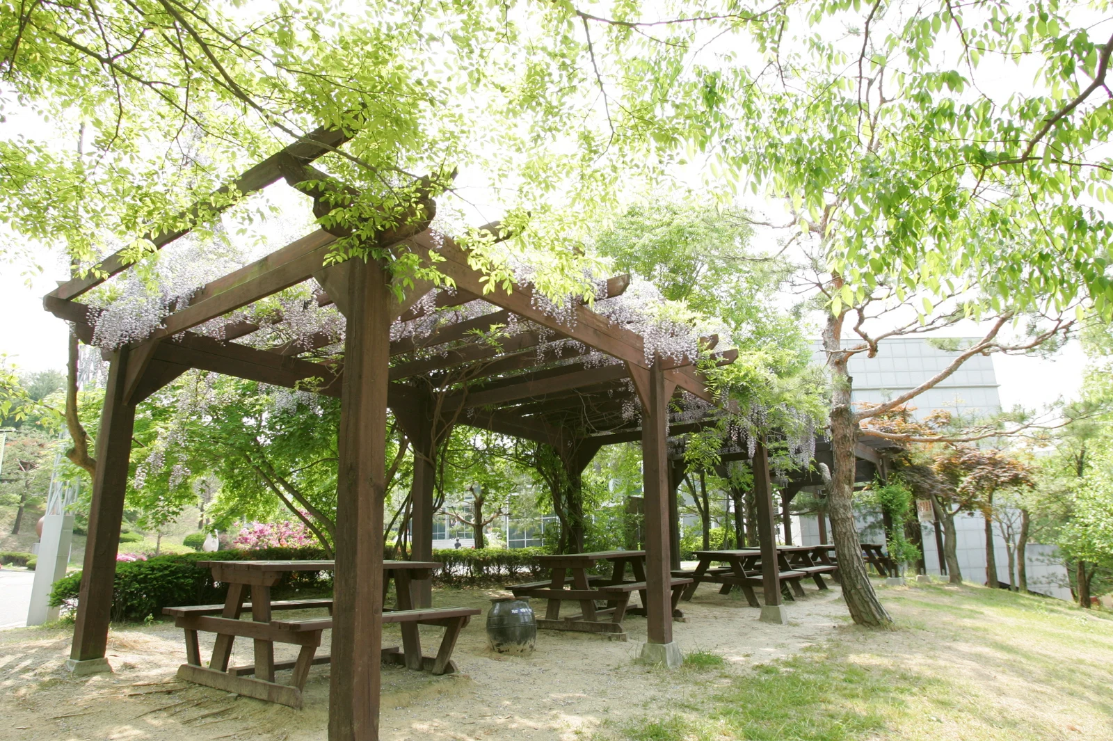 유토피아수목장 자연장지 전경