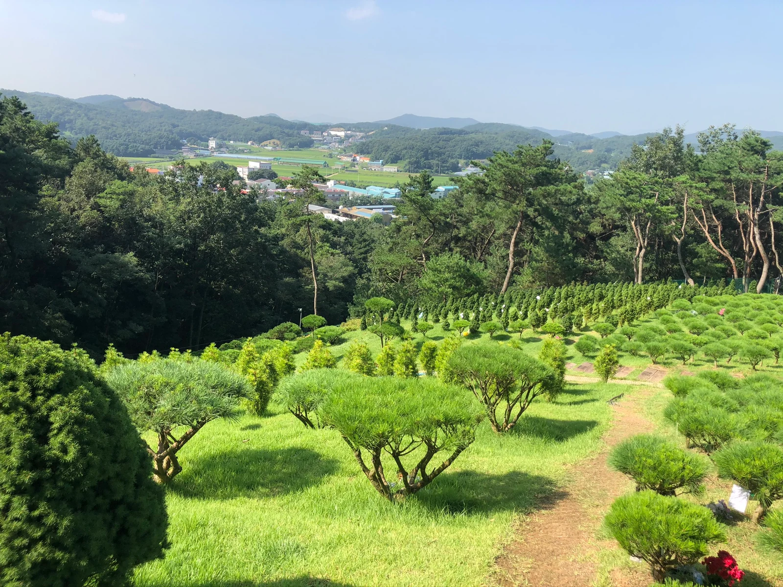 청솔수목장 자연장지 전경
