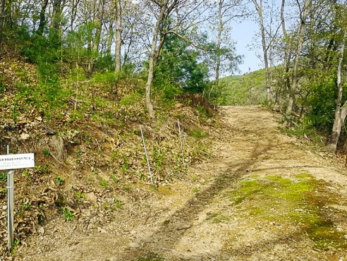 일월사추모공원(자연장지) 자연장지 전경
