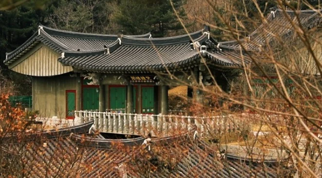 천봉사자연장지 자연장지 전경