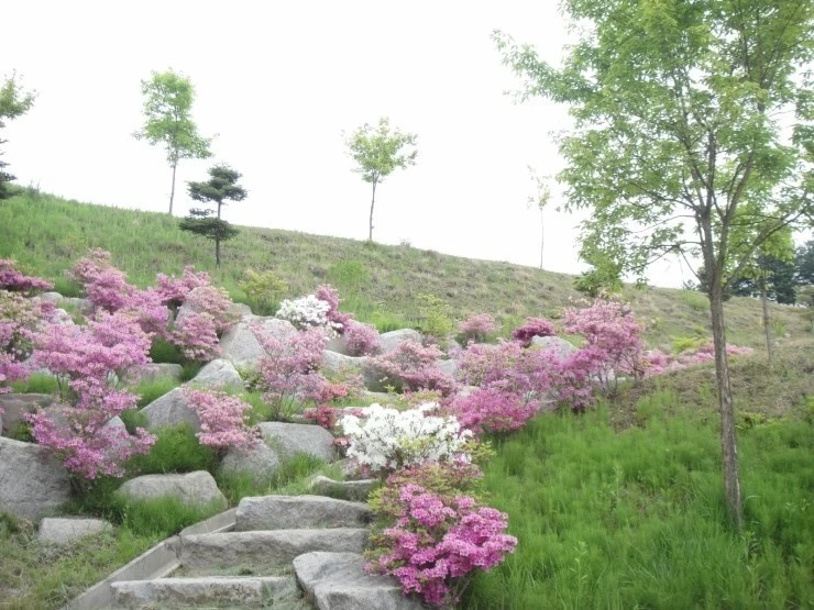 화천공원묘원 자연장지 자연장지 전경