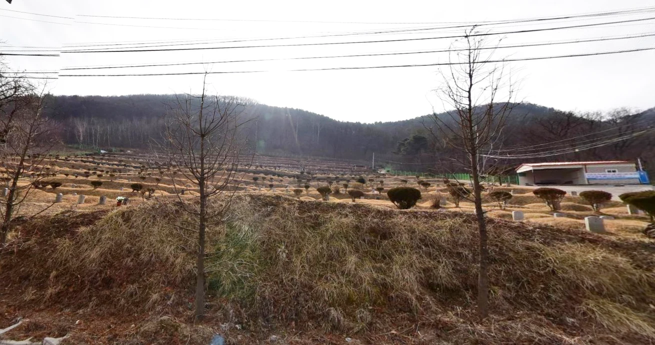 옥천군공설자연장지 자연장지 전경