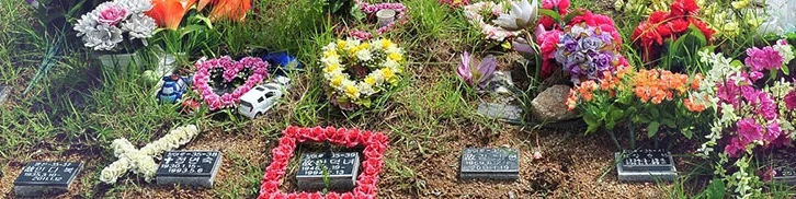 광주영락공원 청마루동산 자연장지 전경