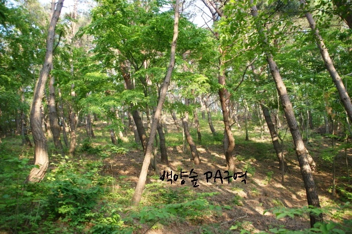 백양사수목장 자연장지 전경