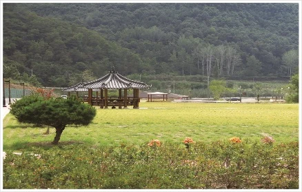 의성군 천제공원(수목·잔디) 자연장지 전경