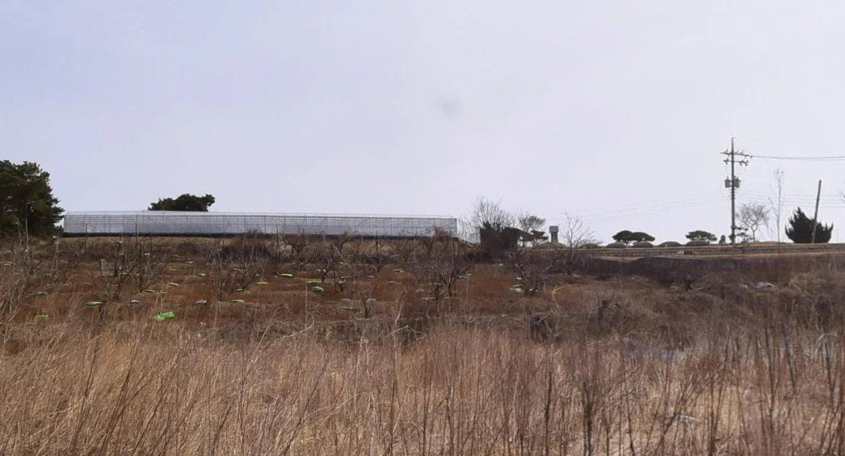 천주교 김천공원묘원 자연장지 전경