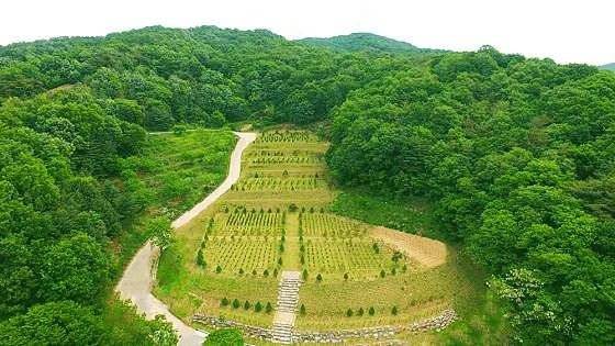 세종수목장 자연장지 전경