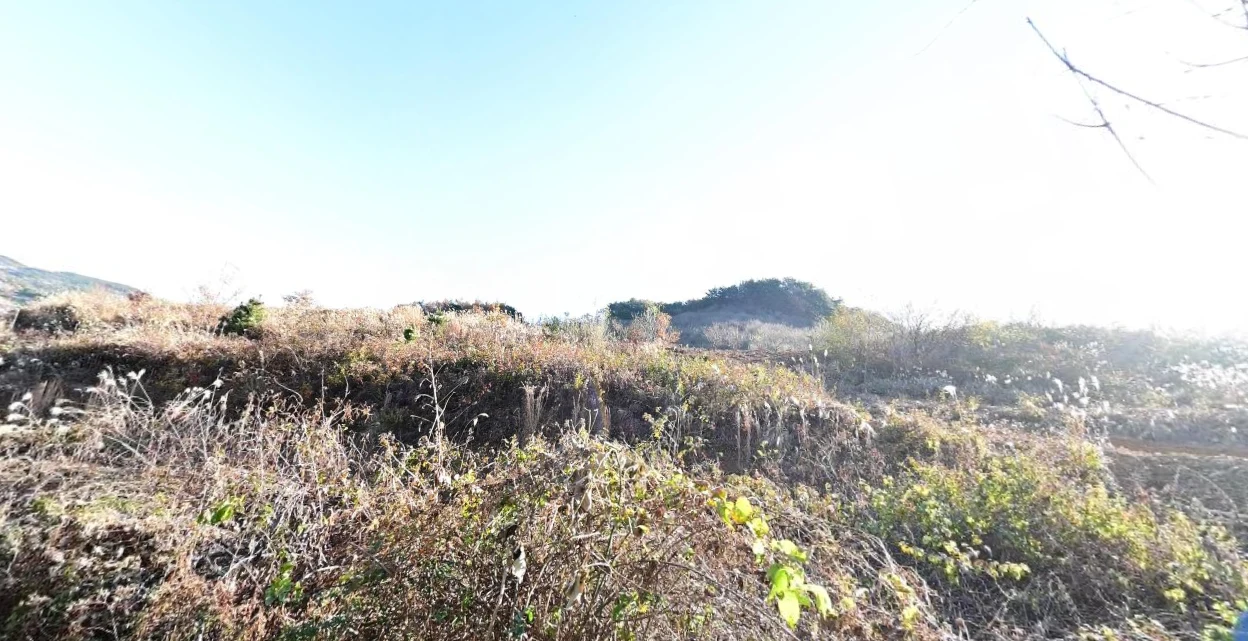 하늘동산 자연장지 자연장지 전경