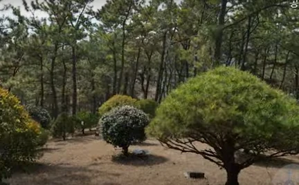 새소명교회동산 자연장지 전경