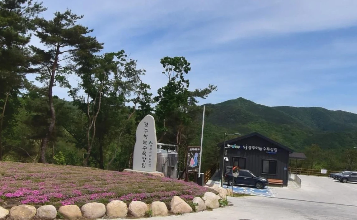 경주하늘수목장림 자연장지 전경