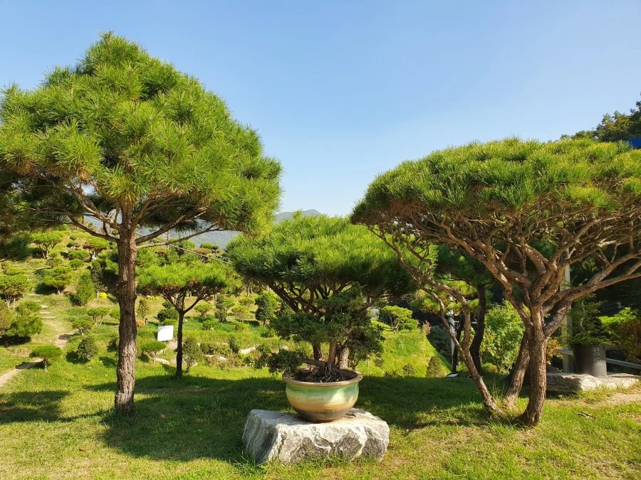 정안수목장 자연장지 전경