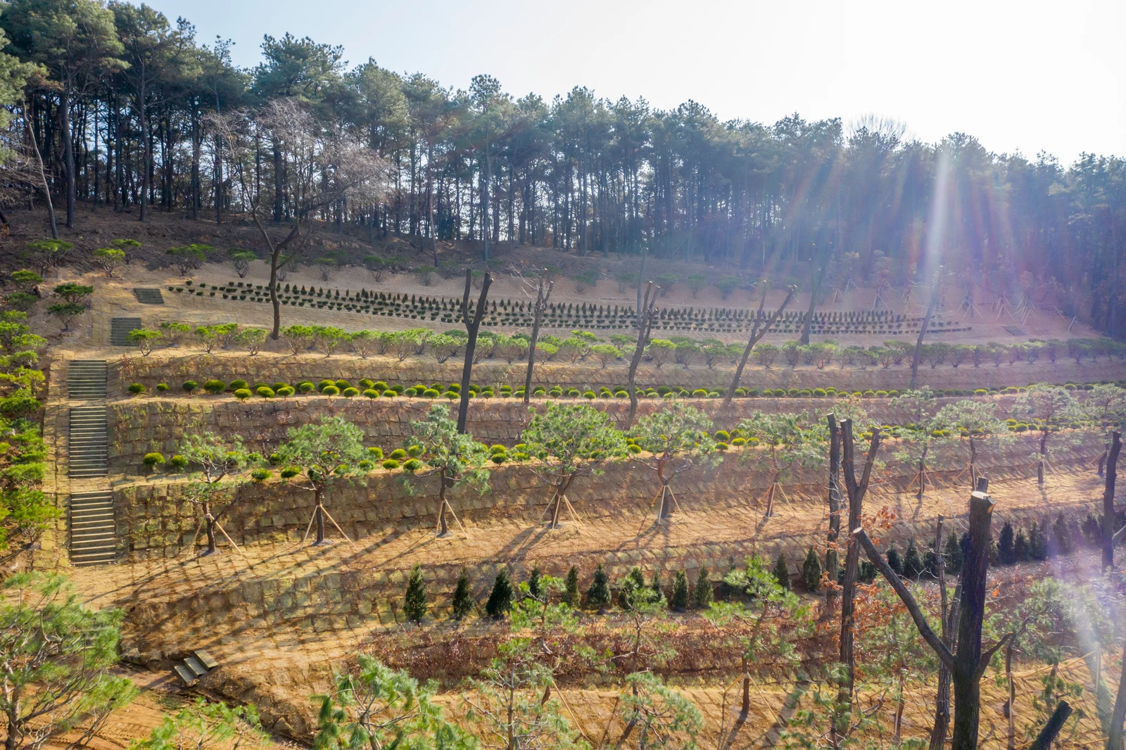일산공감수목장(봉화사) 자연장지 전경