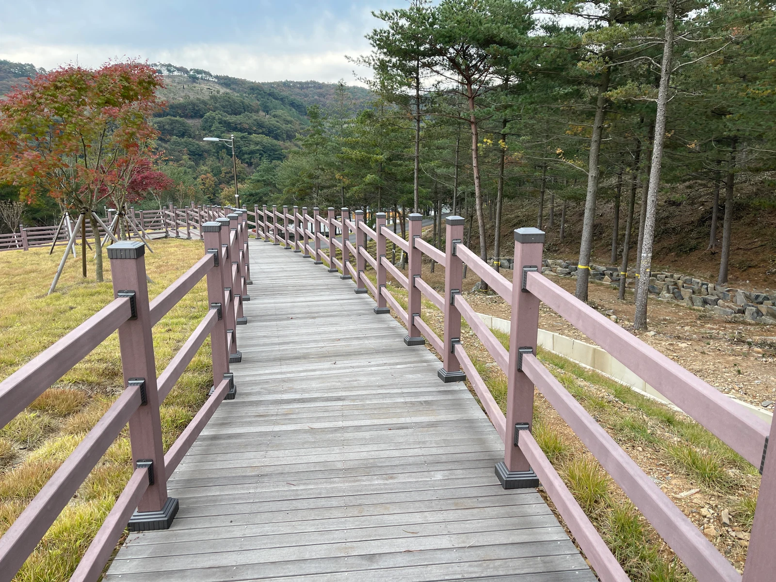 국립기억의숲 자연장지 전경