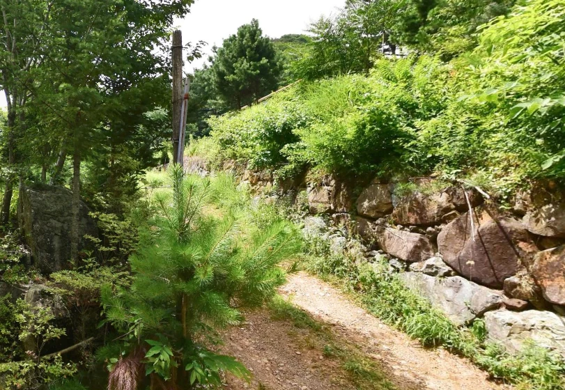 천불사 수목장 자연장지 전경