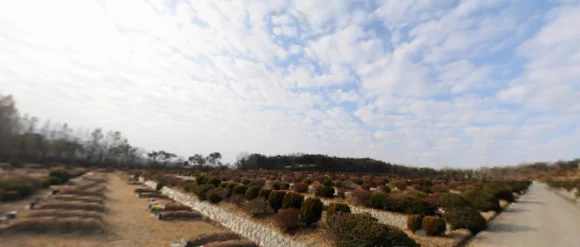 (재)대전교구천주교회 서천자연장지 자연장지 전경