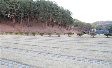 울진군립추모원(자연장지) 자연장지 전경