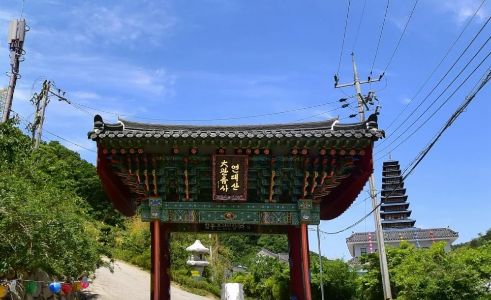 무일선원 수목장림 자연장지 전경