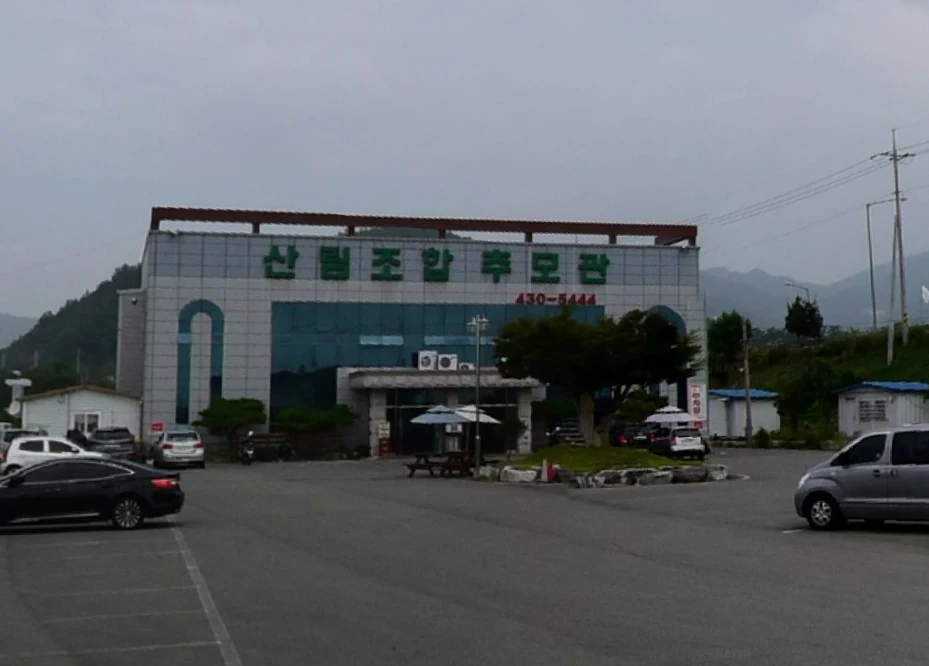 강진군산림조합추모관장례식장 외관·전경